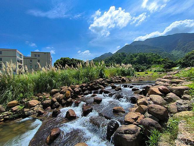 攀登泰山之路：小孩哥的十八次巅峰之旅